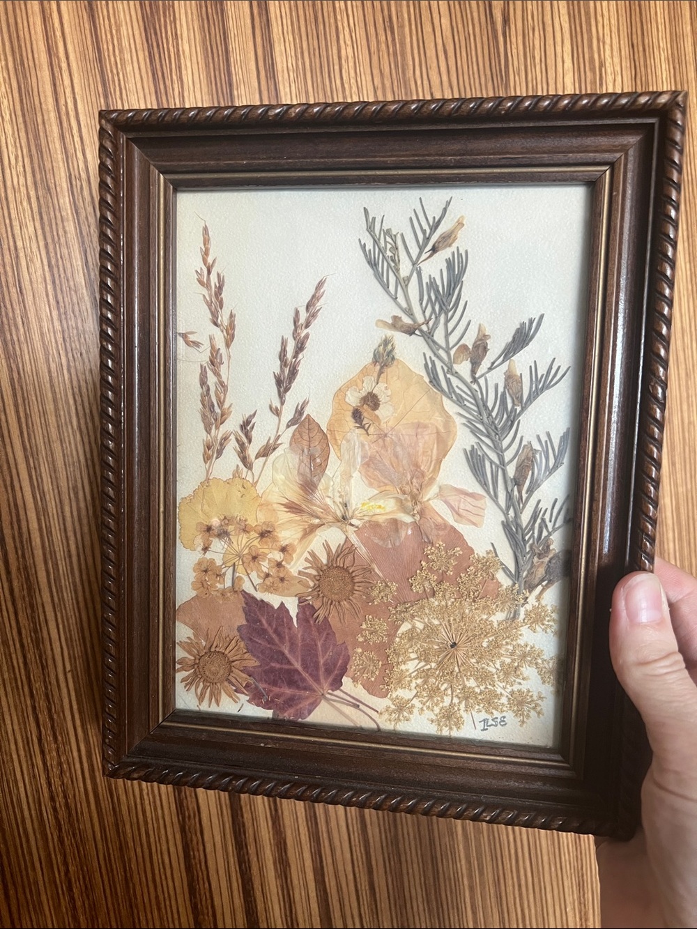 Vintage Pressed Floral Art in Dark Wood Frame - Botanical Wall Decor